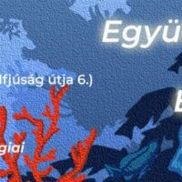 FB_IMG_1679350216902